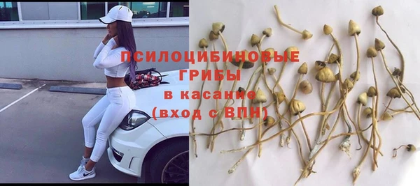 таблы Армянск