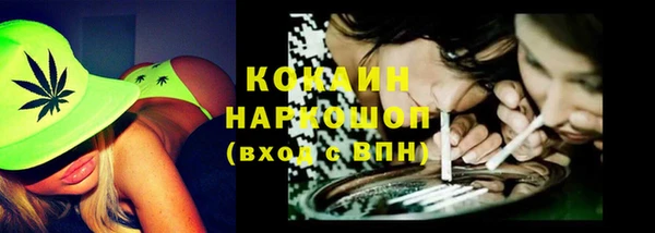 тгк Арсеньев
