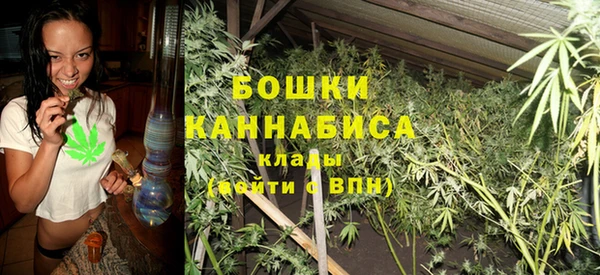 тгк Арсеньев