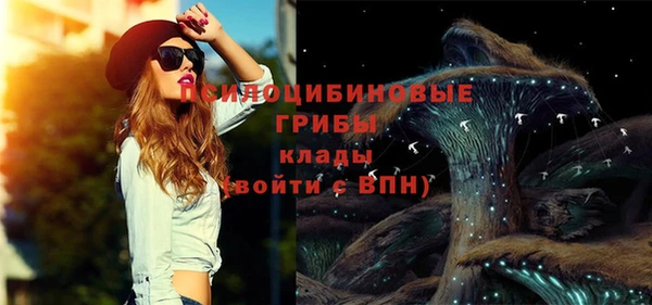 тгк Алзамай