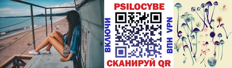 Галлюциногенные грибы GOLDEN TEACHER  Купить закладки  Вязьма 
