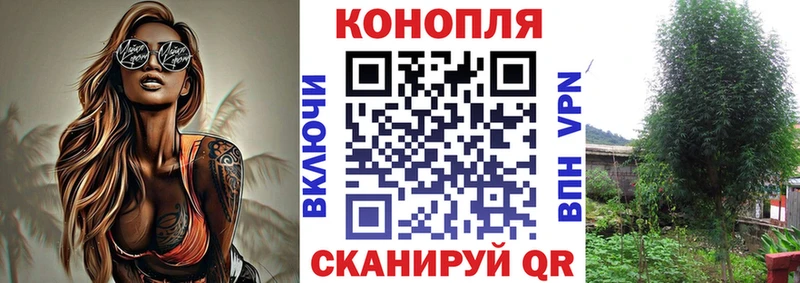 Купить закладки  Вязьма  Бошки марихуана Amnesia 
